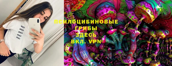 прущая мука Алзамай