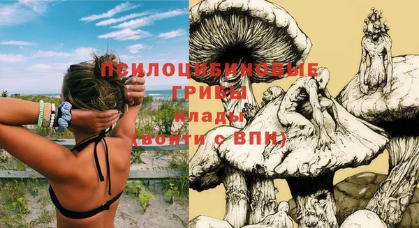 дживик Алексеевка