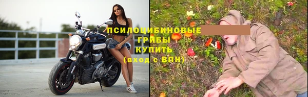 дживик Алексеевка